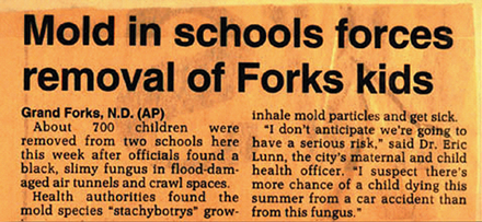 Mold in schools forces removal of Forks kids